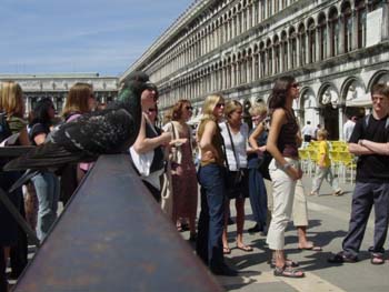 Venice-Pigeon_Front_and_Center