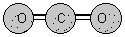 wpe3.gif (1271 bytes)